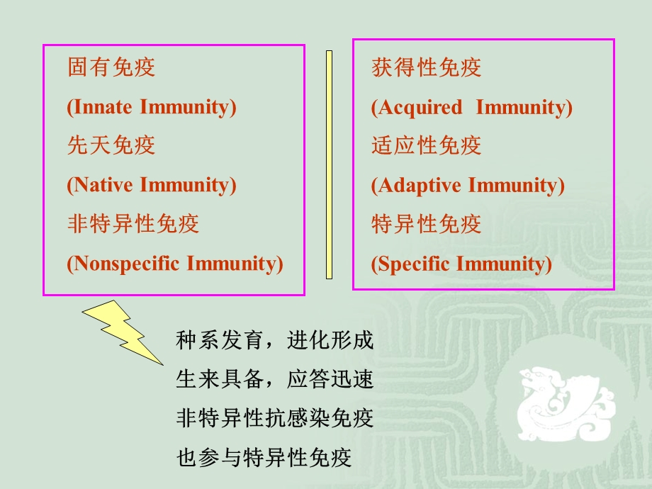 免疫学固有免疫课件.ppt_第2页