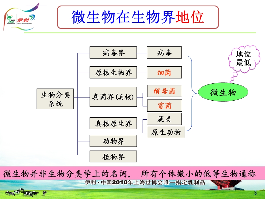 《微生物检验基础知识》ppt课件.ppt_第3页