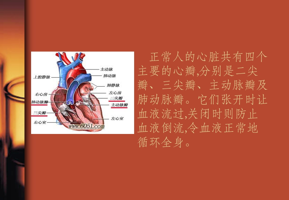 二尖瓣疾病ppt课件.ppt_第2页