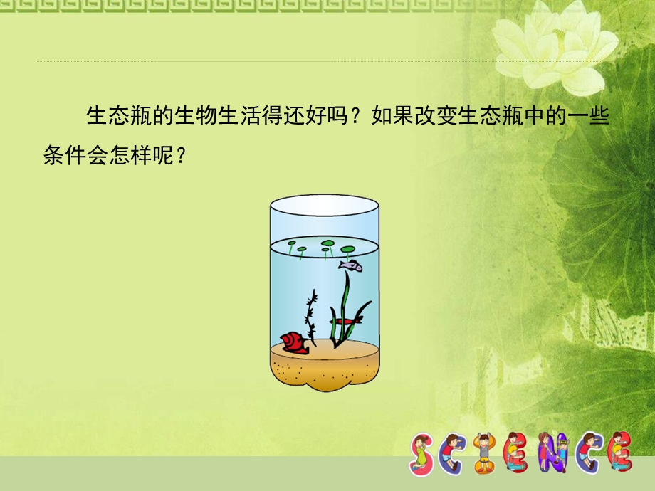 《改变生态瓶》生物与环境ppt课件.pptx_第2页
