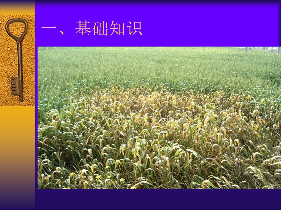 主要农作物病虫害防治技术ppt课件.ppt_第3页