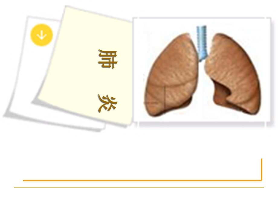 内科护理学呼吸系统肺炎课件.ppt_第1页