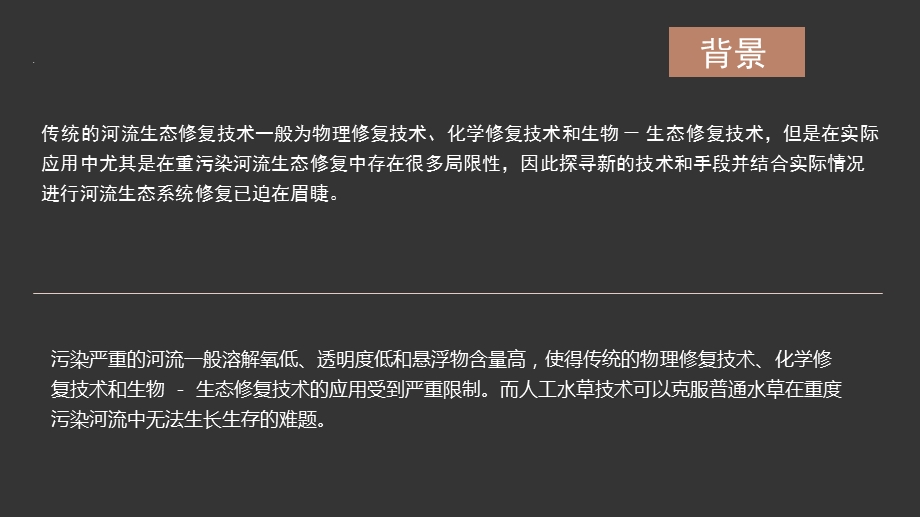 人工水草在重污染河流生态修复中的应用ppt课件.pptx_第2页