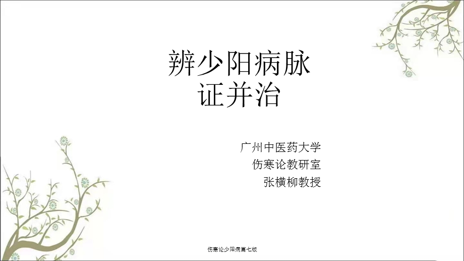 伤寒论少阳病篇七版课件.ppt_第1页