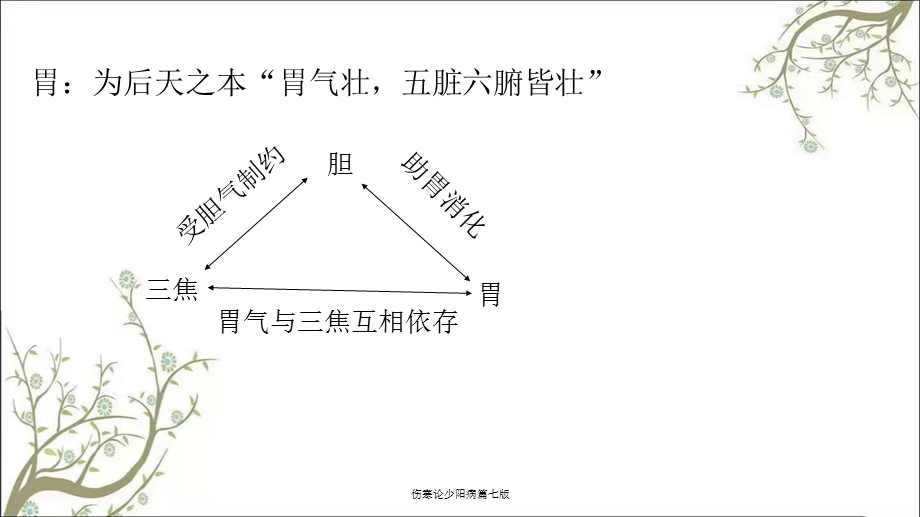 伤寒论少阳病篇七版课件.ppt_第3页