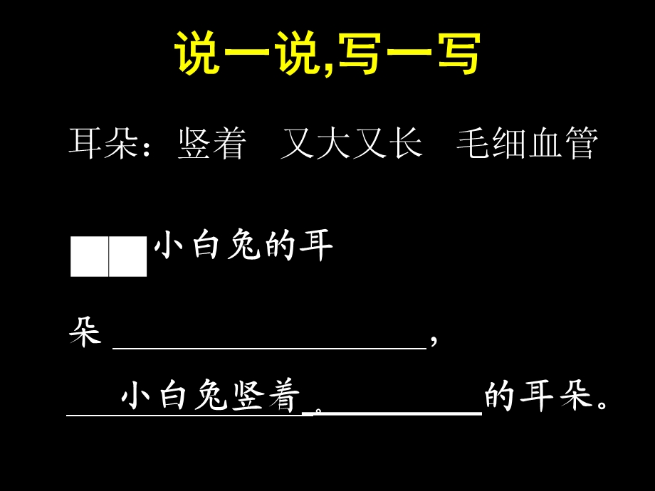 二年级(观察与表达)可爱的小动物(指导观察)ppt课件.ppt_第3页