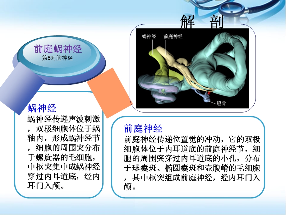 听神经瘤切除术参考课件.ppt_第3页