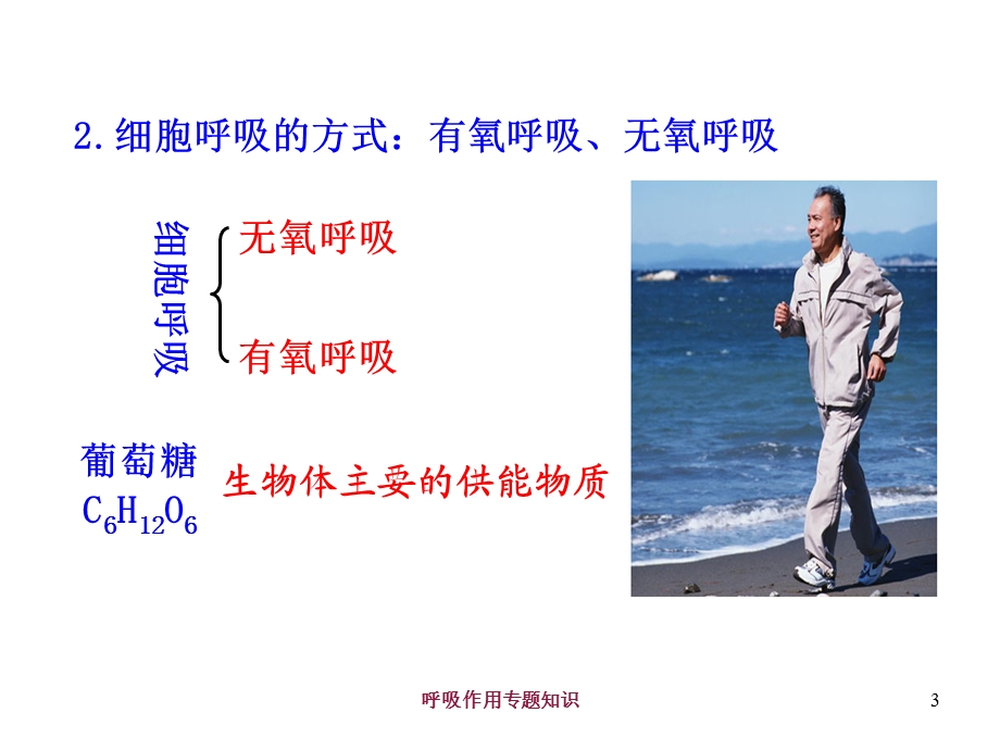 呼吸作用专题知识培训课件.ppt_第3页