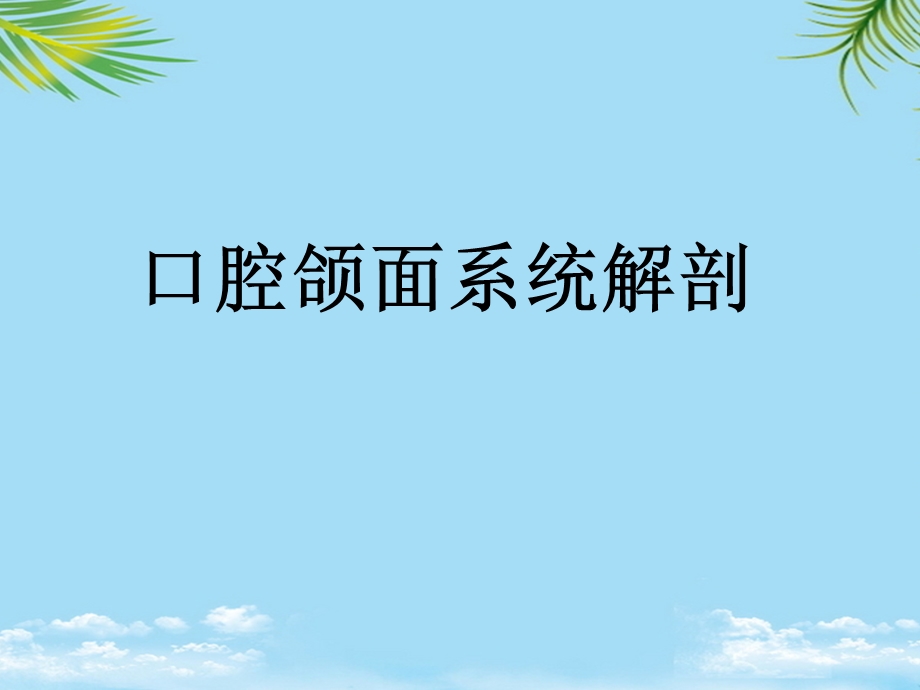 口腔颌面系统解剖上颌骨课件.ppt_第1页