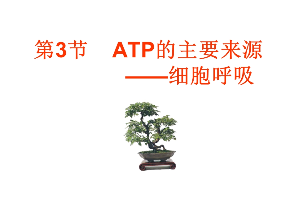 呼吸作用一课件.ppt_第1页