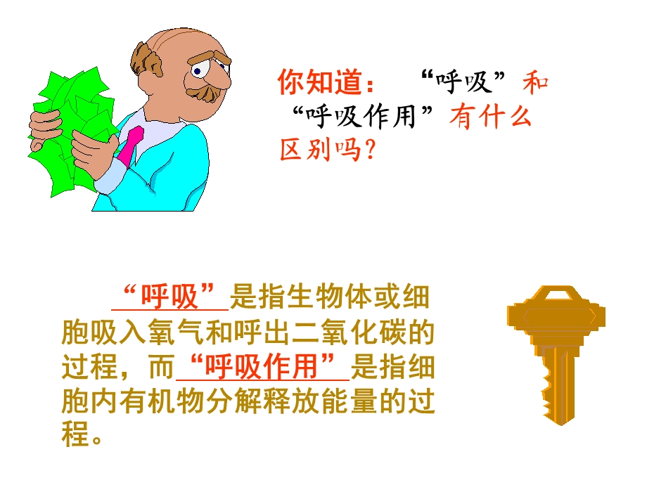 呼吸作用一课件.ppt_第2页