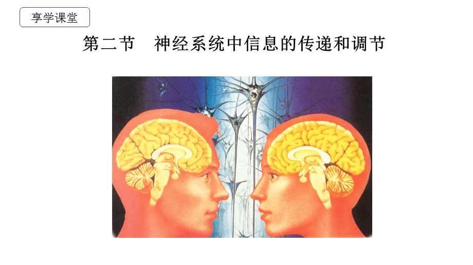 信息在神经系统中的传递ppt课件.pptx_第1页