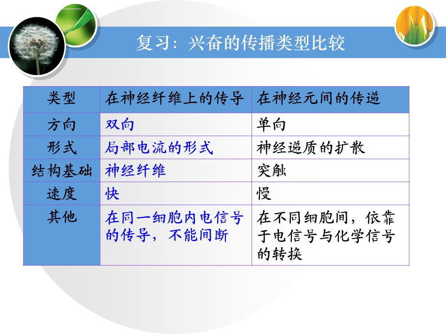 人脑的高级功能功能ppt课件.ppt_第1页