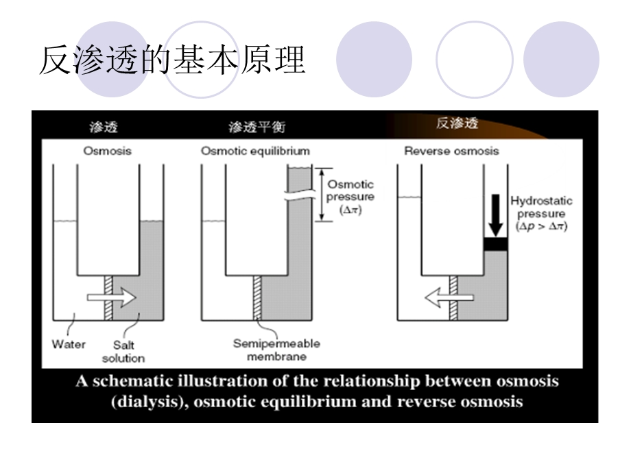 反渗透预处理系统培训ppt课件.ppt_第3页