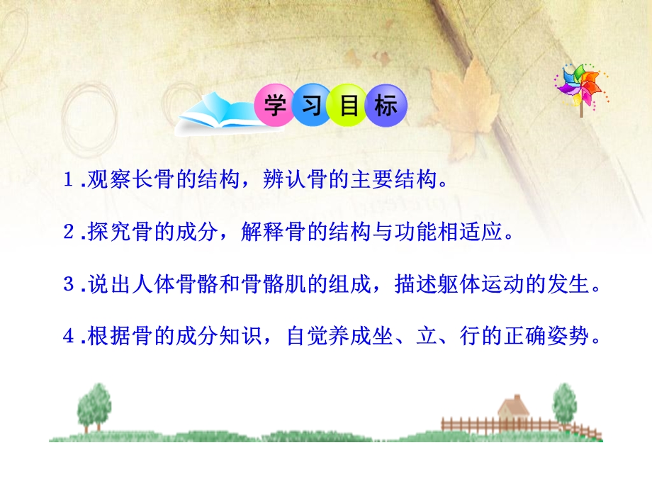 动物运动的形成ppt课件.ppt_第3页