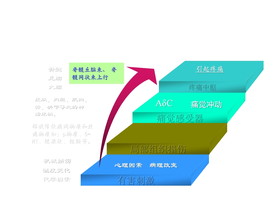 剖宫产术后镇痛ppt课件.ppt_第3页