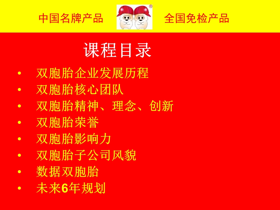 双胞胎一：2企业文化ppt课件.ppt_第3页