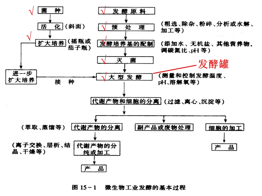 发酵罐设计ppt课件.pptx_第2页