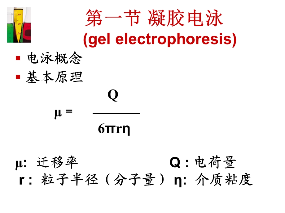 分子生物学常用技术ppt课件.ppt_第3页