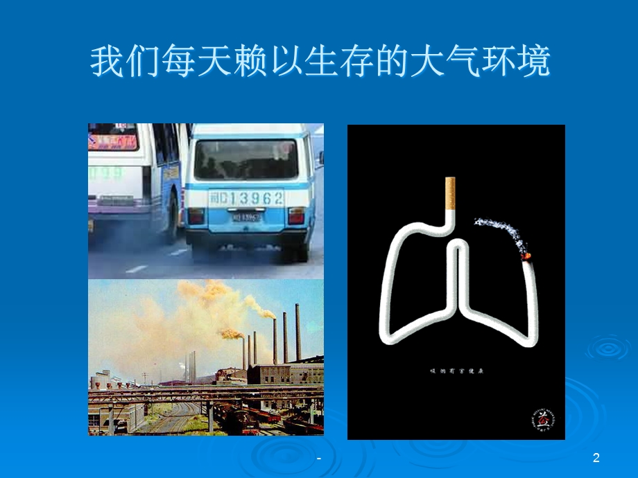 呼吸系统疾病与预防课件.ppt_第2页