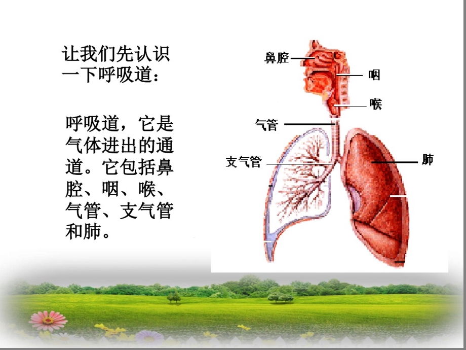 呼吸道传染病预防知识课件.ppt_第3页