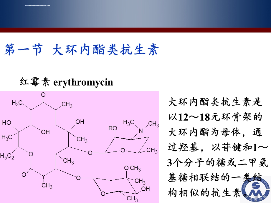 大环内酯类抗生素ppt课件.ppt_第3页