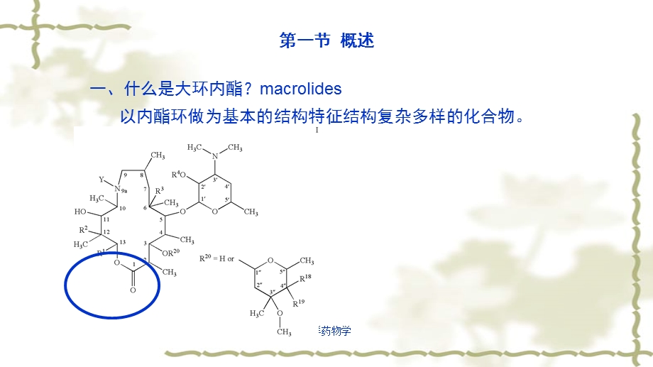 大环内酯类化合物ppt课件.ppt_第2页