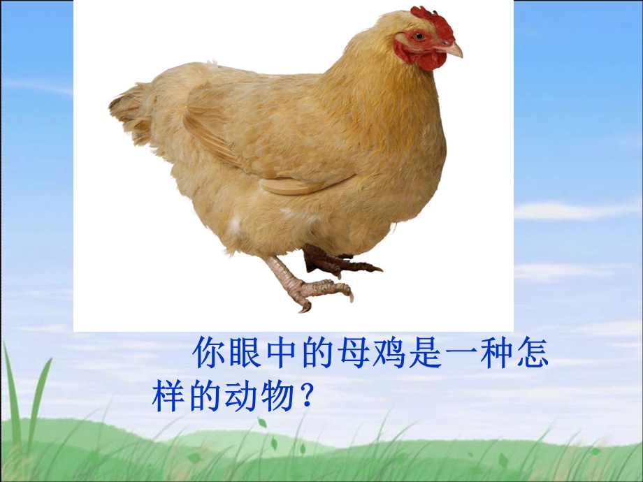 四年级上册《母鸡》ppt课件.ppt_第2页