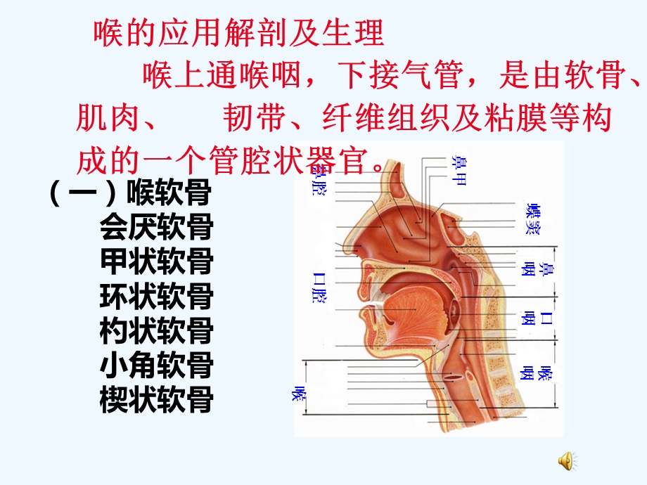 喉阻塞病人护理课件.ppt_第3页