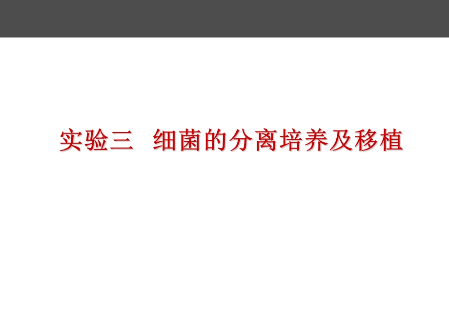 实验三细菌的分离培养及移植ppt课件.ppt_第1页