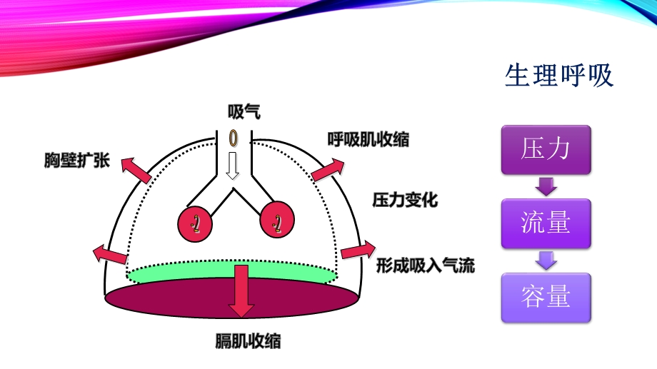 呼吸机波形分析ppt课件.pptx_第2页