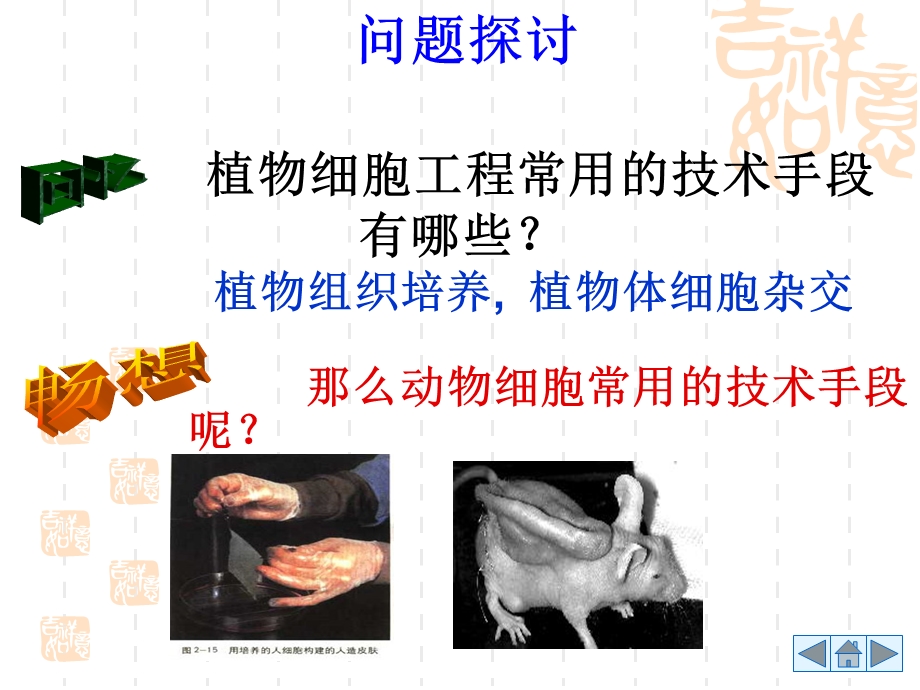 人教版教学ppt课件定稿动物细胞培养和核移植技术.ppt_第2页