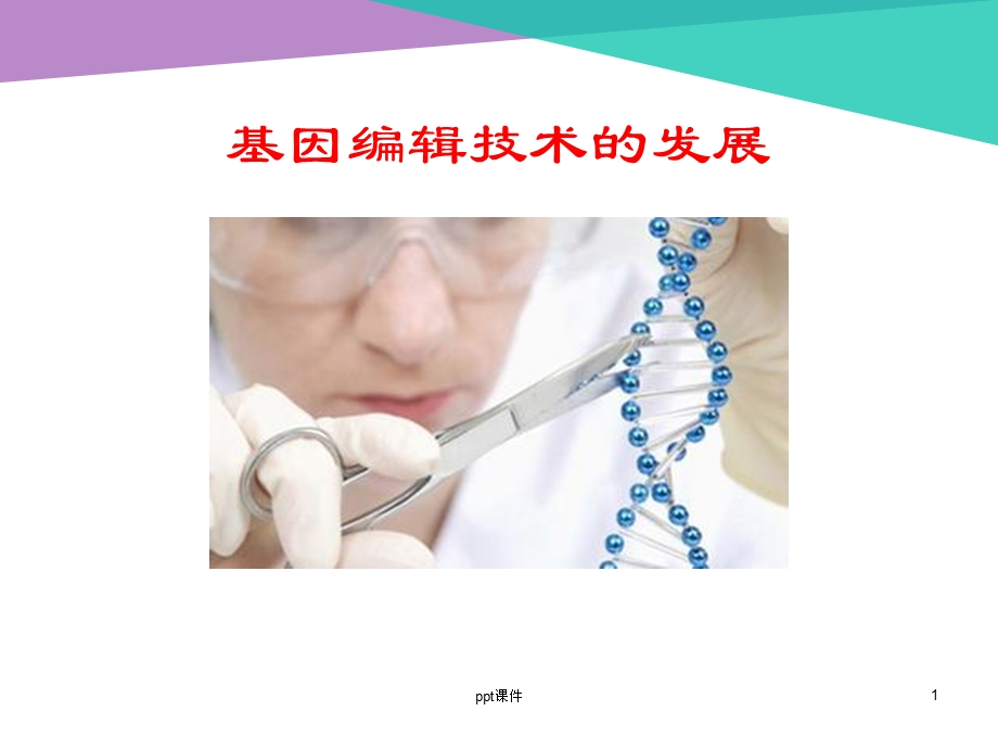 基因编辑技术课件.ppt_第1页