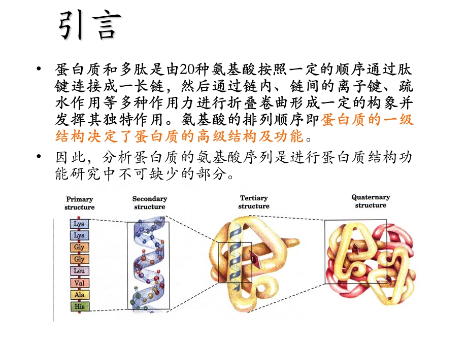 蛋白质和多肽的氨基酸序列分析课件.ppt_第3页