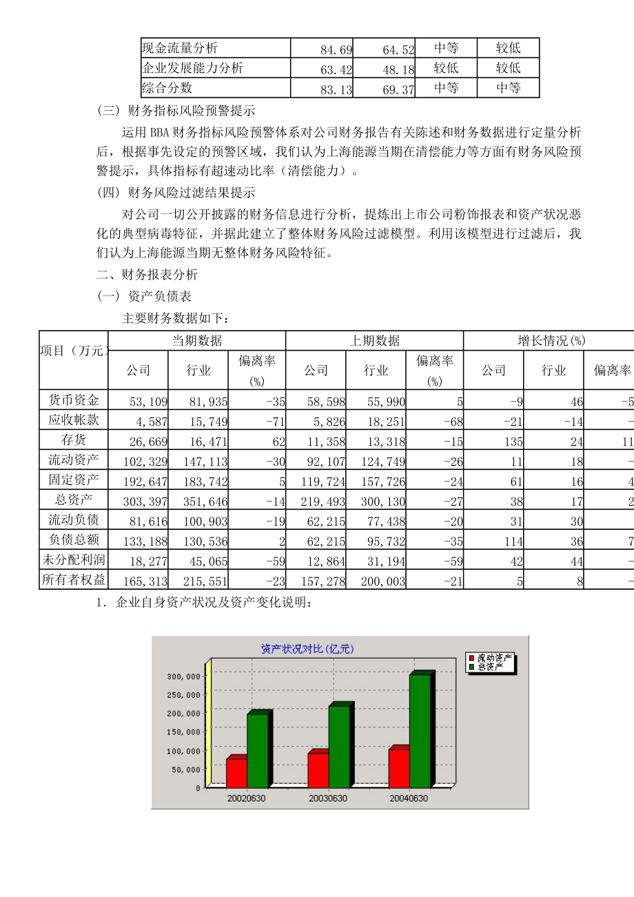 上海能源报告财务分析报告.docx_第2页