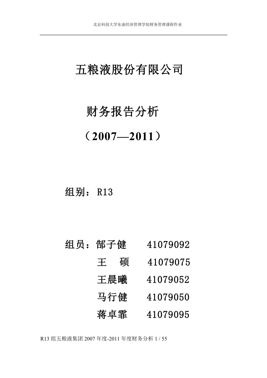 五粮液集团财务分析报告.docx_第1页