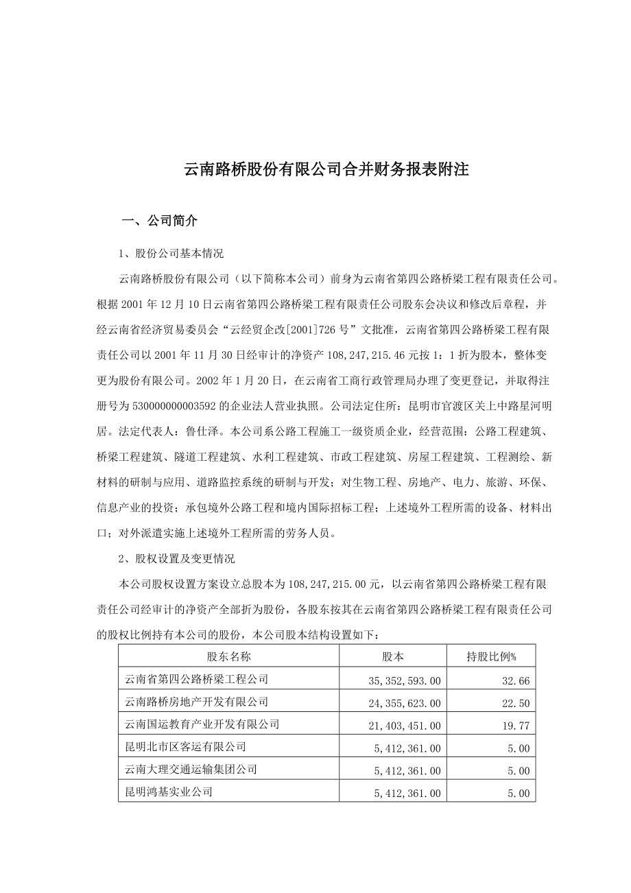 云南某公司合并财务报表附注.docx_第1页