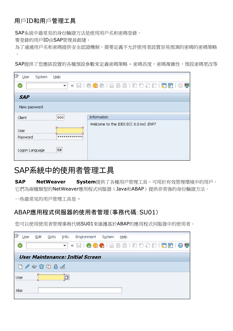 SAP安全快速指南.docx_第3页