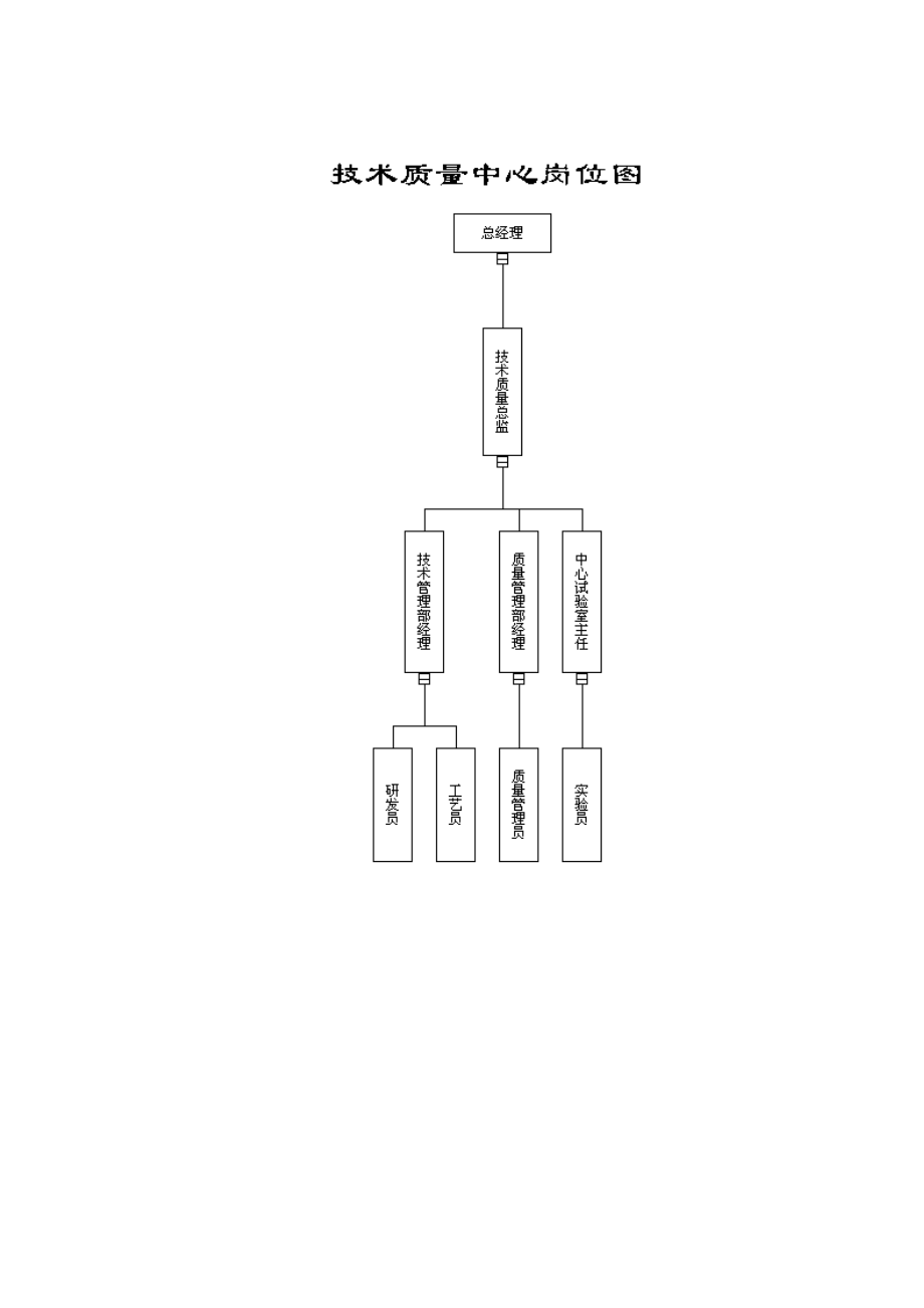 xx公司技术质量管理体系.docx_第2页