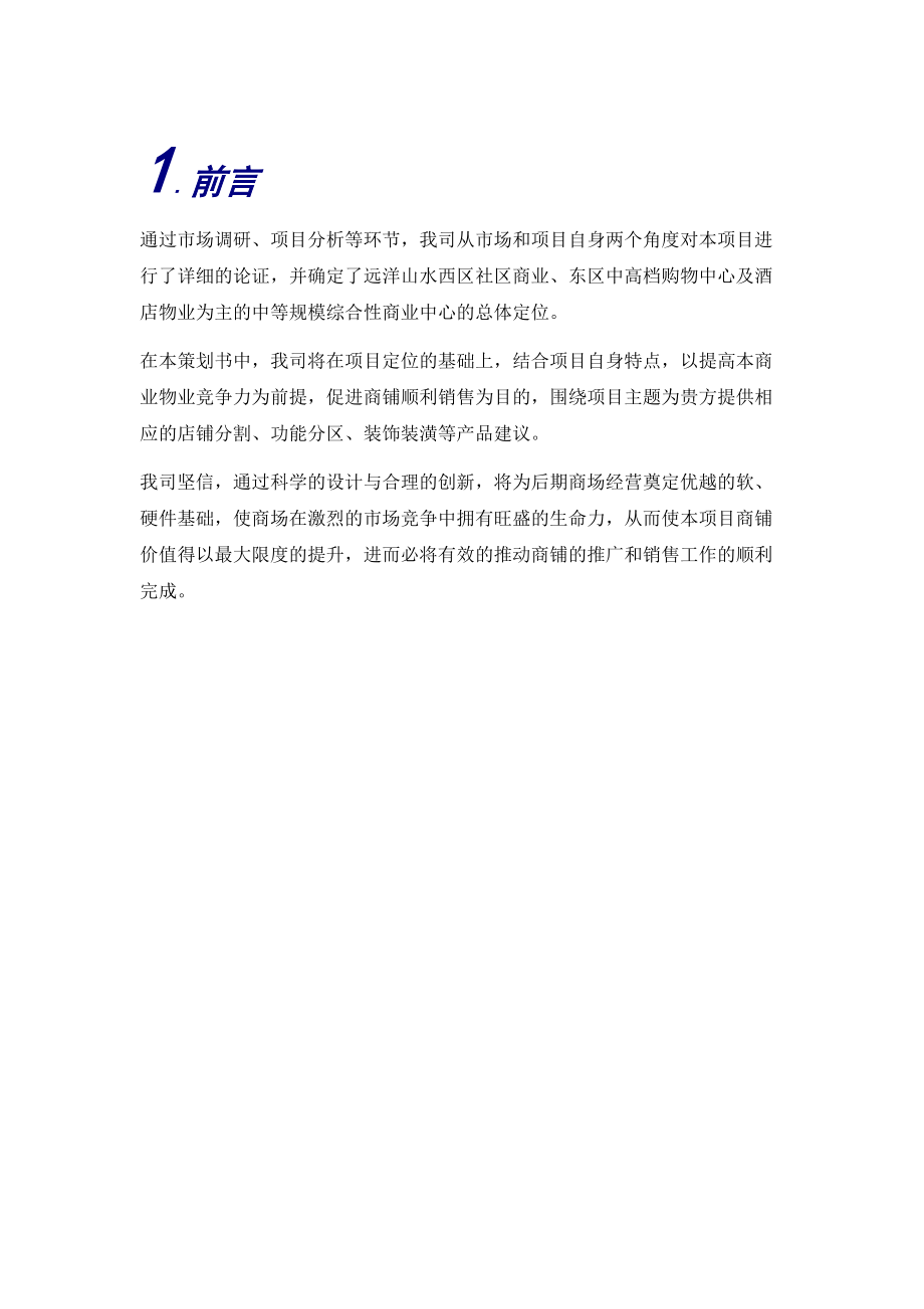 商业项目产品设计报告书.docx_第3页