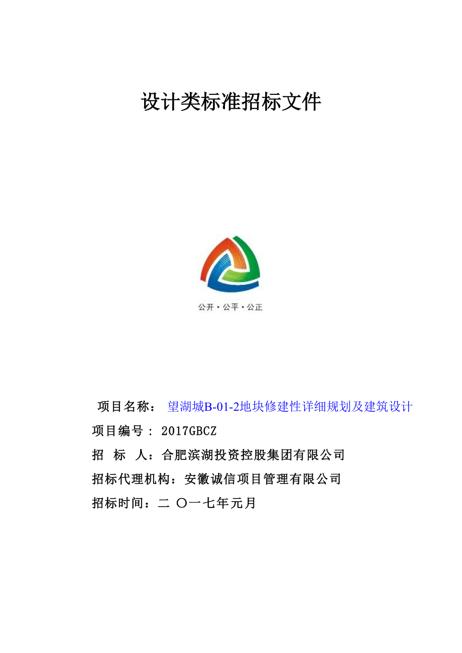 望湖城规划及建筑设计招标文件20170116讨论稿.docx_第1页