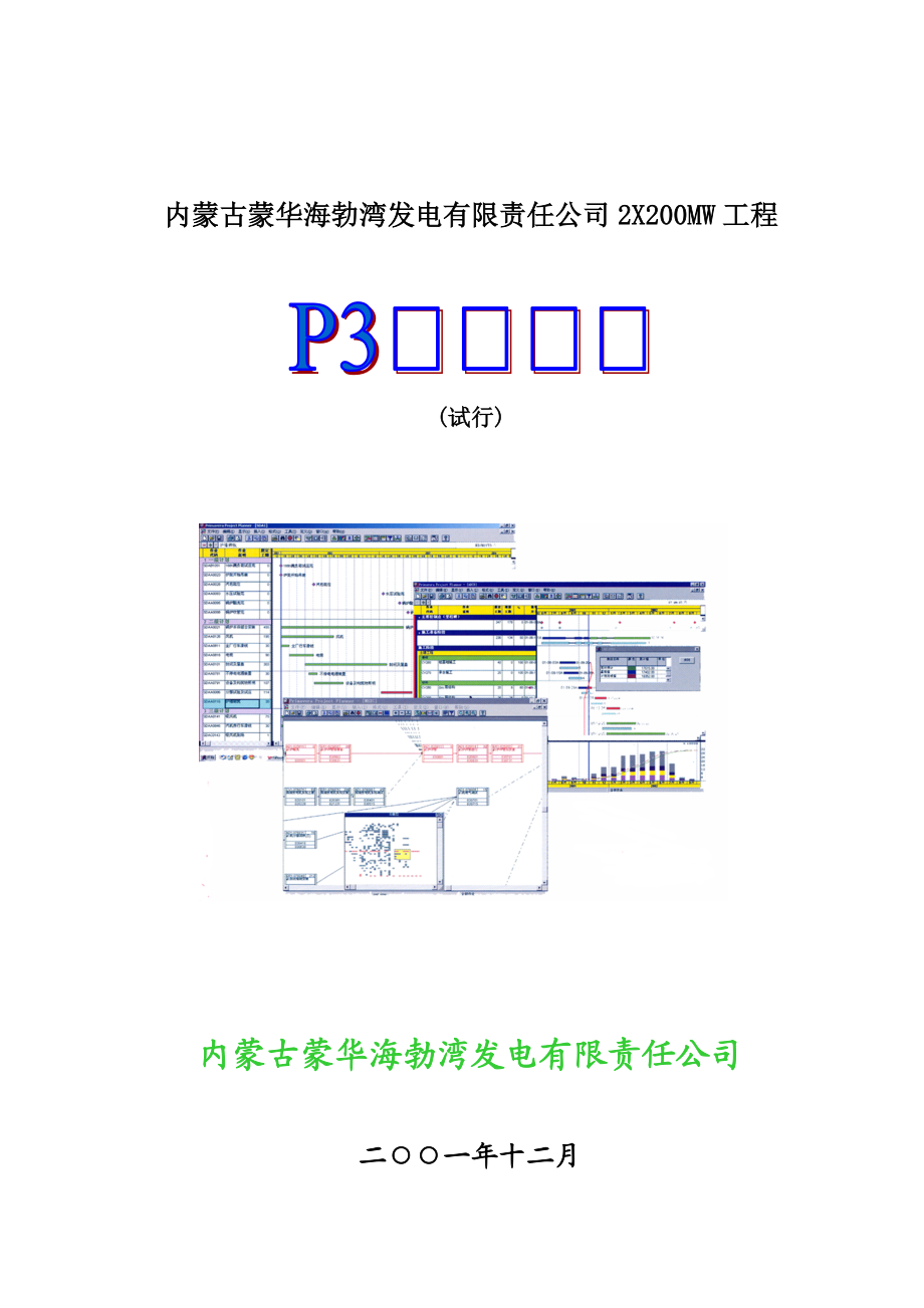 XX海电工程P3管理手册(试行)(1).docx_第1页