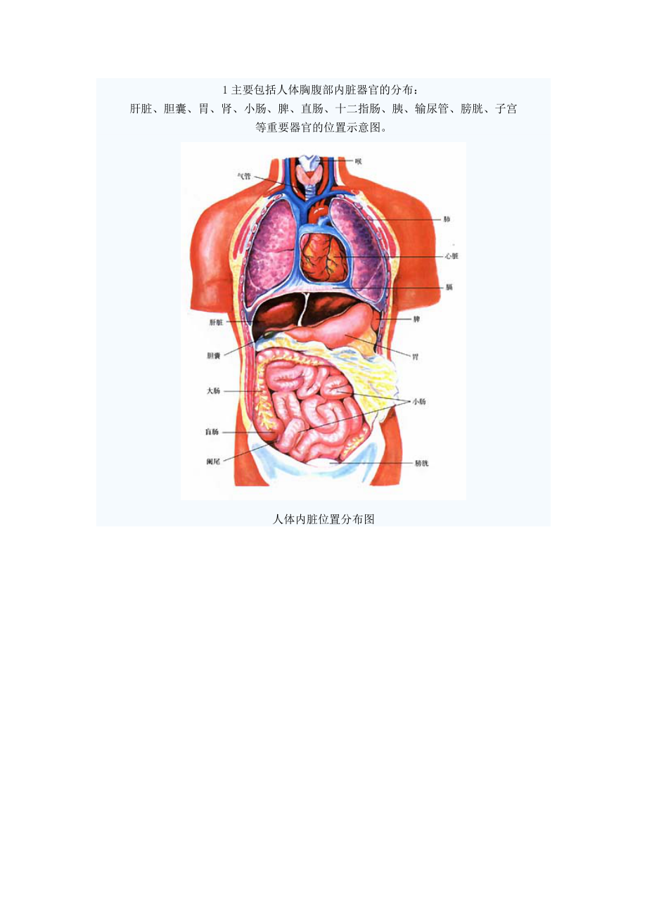 人体器官和组织图1.docx_第1页
