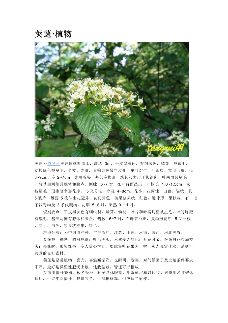各种花卉资料汇总.docx_第1页