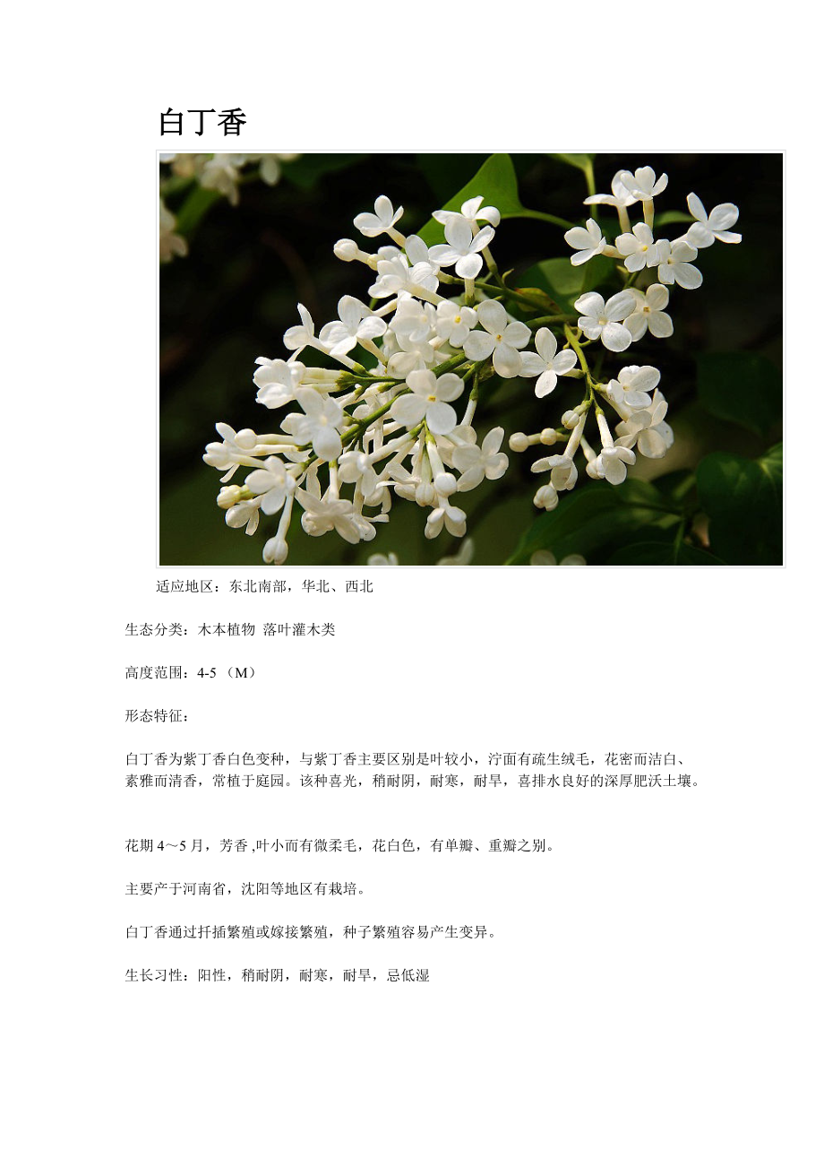 各种花卉资料汇总.docx_第2页