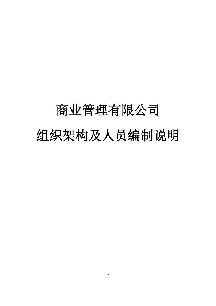 某商业管理有限公司组织架构及人员编制说明.docx_第1页