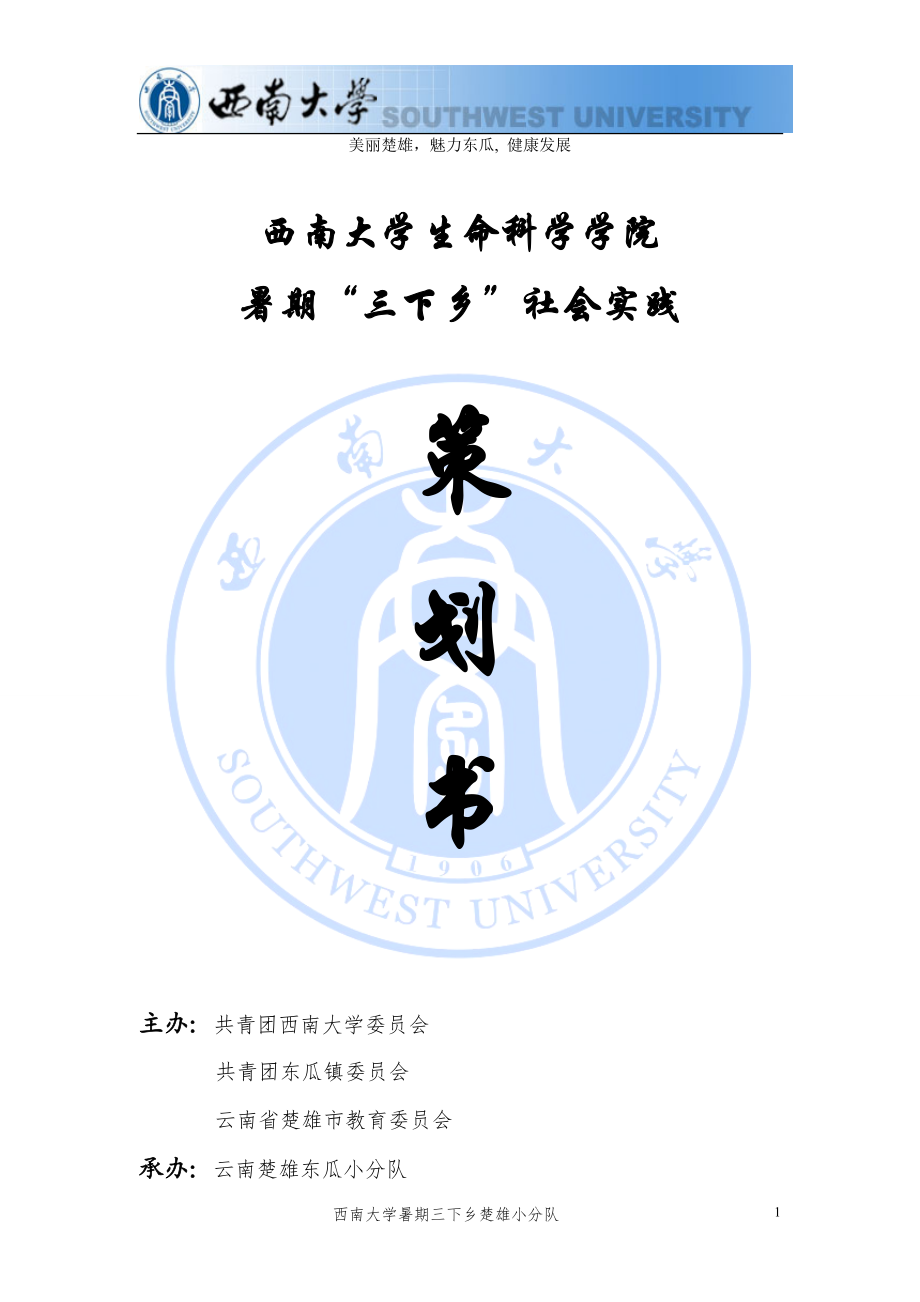 某大学三下乡云南楚雄小分队活动策划方案.docx_第1页