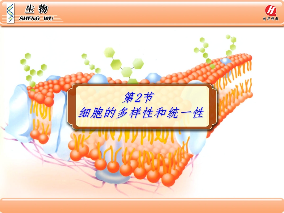 生物①必修1.2《细胞的多样性和统一性》课件.ppt_第1页