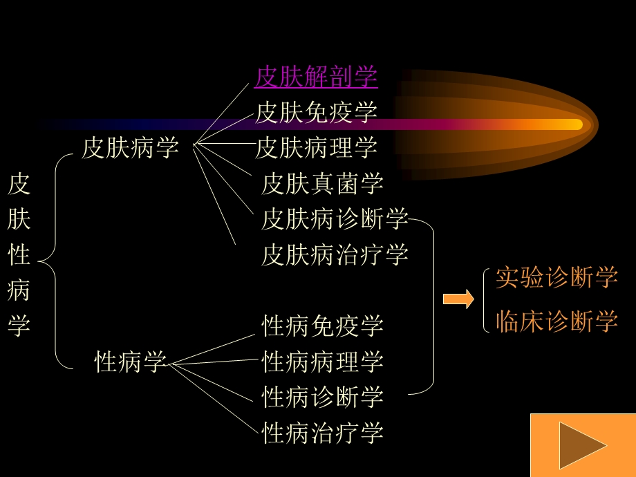 总论 皮肤性病学课件.ppt_第2页