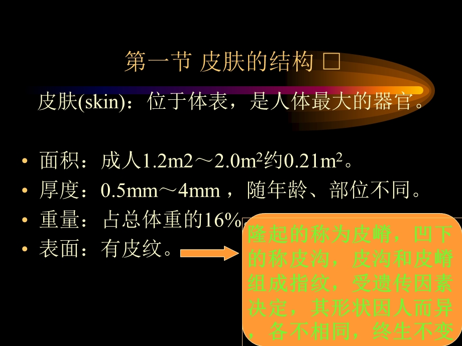 总论 皮肤性病学课件.ppt_第3页